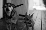k3-27-2017 1-30-48 AM_d_Y]}.jpg