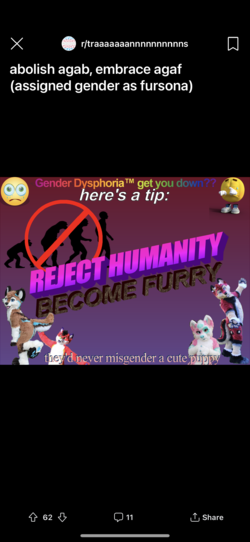 DE10DE9C-DF71-4CBB-9E6D-C1B1B29C1462.png