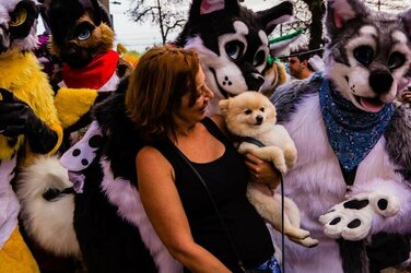 vice-images_vice_com-furry-fandom-convencao-brasil-body-image-1474489331-size_1000.jpg
