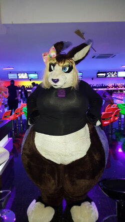 337px-Sally-Furboliche-Brazil.jpg