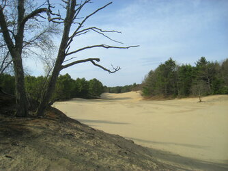 Desert_of_Maine_-_Freeport,_ME_-_IMG_8012.jpeg