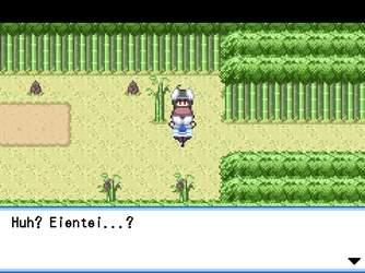 gn_enbu_ss019.png