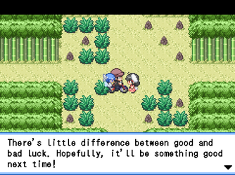 gn_enbu_ss053.png