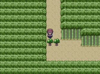 gn_enbu_ss061.png