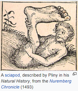 Untitled.png