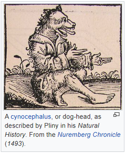 Untitled.png