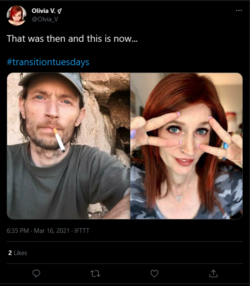 1617926060869.png