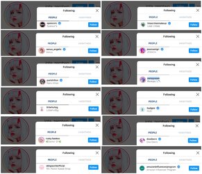 lori IG follows.jpeg