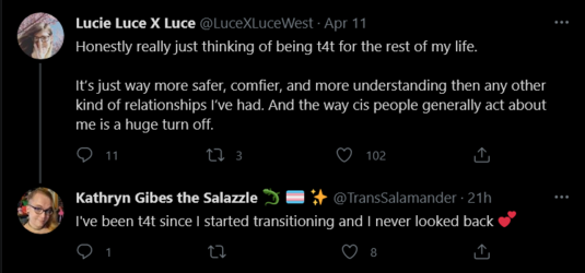 Screenshot_2021-04-12 Tweets with replies by Kathryn Gibes the Salazzle 🦎 🏳️‍⚧️ ✨ ( TransSalam...png