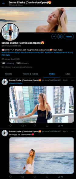 screencapture-twitter-EmmaCla33666830-media-2021-04-12-18_35_07.png