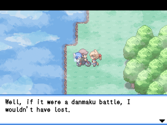 gn_enbu_ss119.png