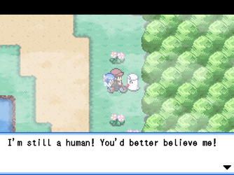 gn_enbu_ss165.png