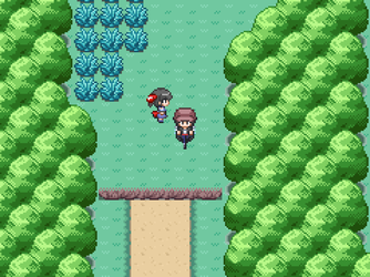 gn_enbu_ss228.png