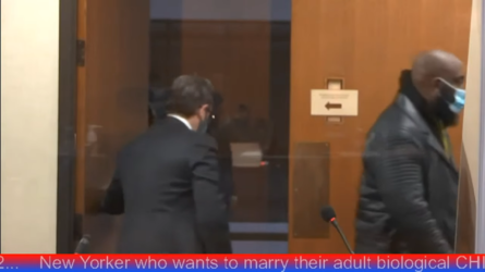 AustinZone (4_13_2021) - Derek Chauvin Trial - Day 12 - YouTube — Mozilla Firefox 4_13_2021 11...png
