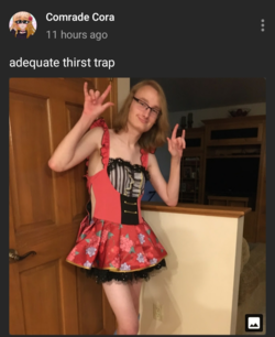 1618330120415.png