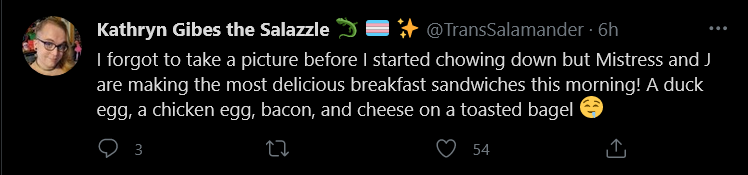 Screenshot_2021-04-16 Tweets with replies by Kathryn Gibes the Salazzle 🦎 🏳️‍⚧️ ✨ ( TransSalam...png