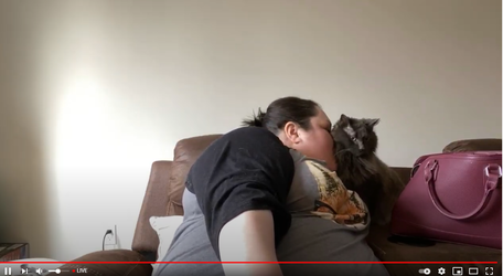katemosslike.png