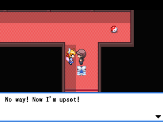 gn_enbu_ss131.png