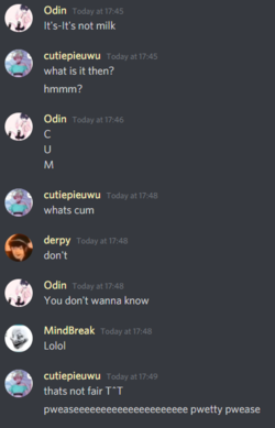 31.png