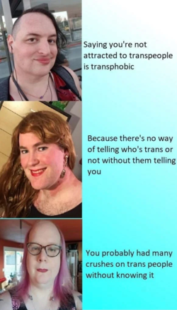 transexuals crushes.png