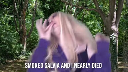 SmokedSalviaAndINearlyDied.jpg
