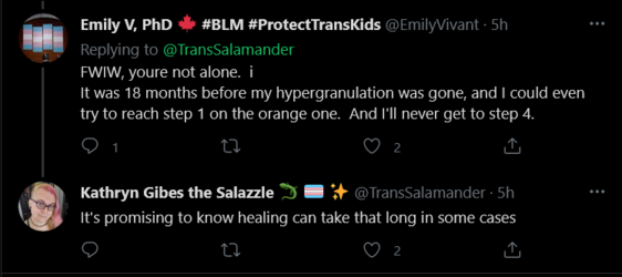 Screenshot_2021-04-19 Tweets with replies by Kathryn Gibes the Salazzle 🦎 🏳️‍⚧️ ✨ ( TransSalam...png