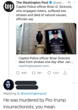 1618867059022.png