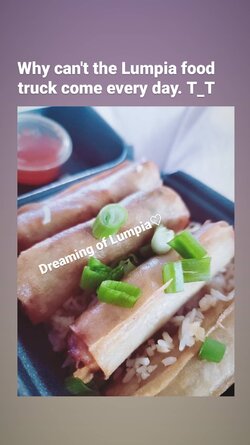 lumpia food truck 175006650_254552046356636_3192856794556631504_n.jpg