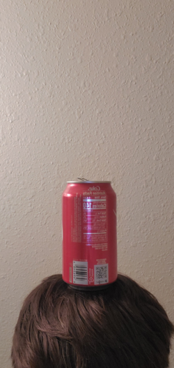 1619002227036.png