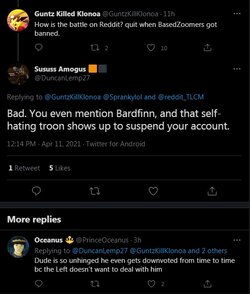 SayBardfinnOnReddit.jpg