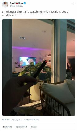 4211.JPG