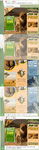 Simba Brochure 1.png