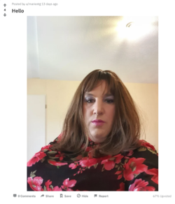 nt 03.png