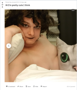 nt 21.png