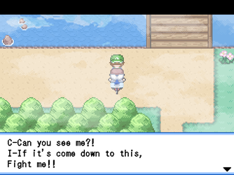 gn_enbu_ss050.png