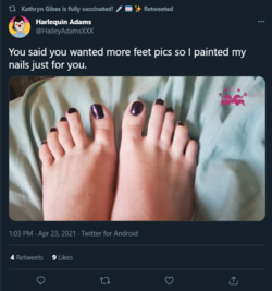 feet.PNG
