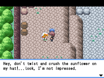 gn_enbu_ss168.png