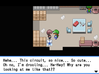 gn_enbu_ss243.png