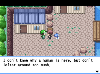 gn_enbu_ss244.png