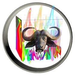 Buffalo-Cube-2.jpg