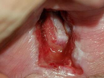 20170822_200741.jpg