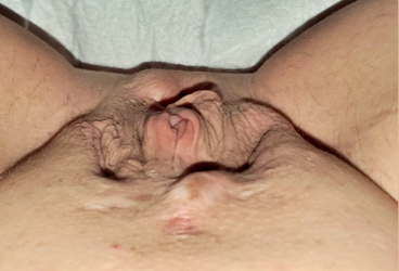image(2).png