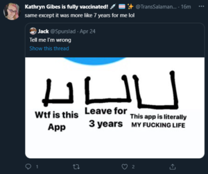 1619393082335.png