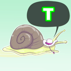 t.png