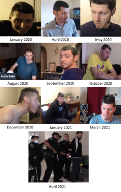 rattimeline.png