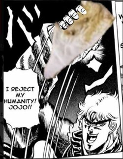 fs.JPG
