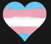 1619638322010.png