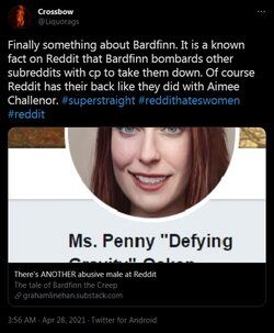 TwitterBardfinnExpose02.jpg