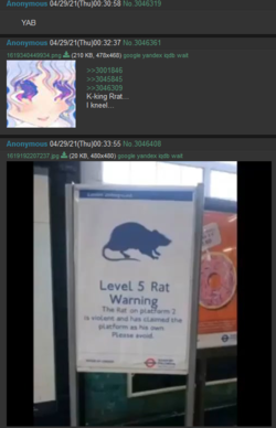 Ollie4.png