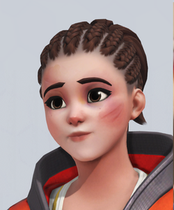 cornrow mei.png